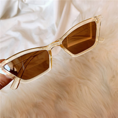 Modern Tinted Lens Sunglasses